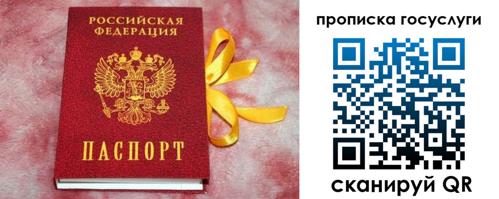 прописка законно в Камызяке